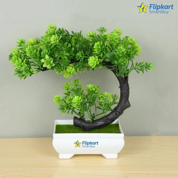 Artificial Plants Online In India Flipkart 03Jul23