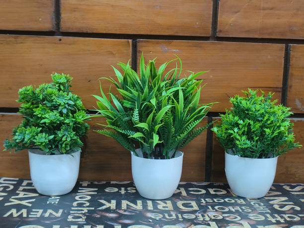PARTY MIDLINKERZ Small Size Pack Of 3 Bonsai Wild Artificial Plant  with Pot