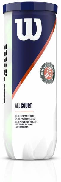 WILSON Ronald Garros High Performance 1 can (3pc) Tennis Ball