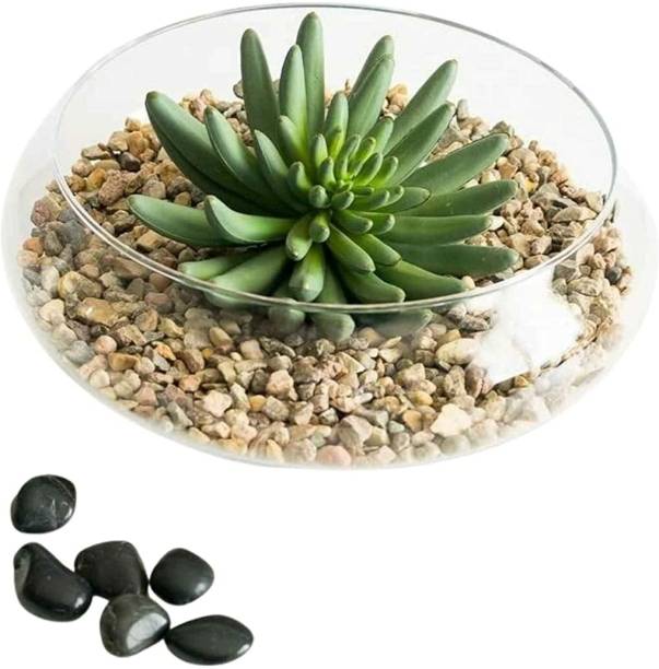 BS AMOR Glass Vase, Urli Bowl Terrarium Succulent Plant...