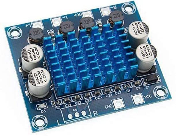 3REE TPA3110 Digital Amplifier Board (30W + 30W Dual Channel Stereo) Electronic Components Electronic Hobby Kit
