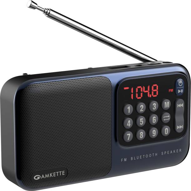 AMKETTE Pocket Mate Bluetooth Speaker with USB, SD Card and Headphone Jack FM Radio