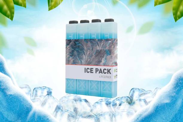 Ecommercehub Ice Packs for Coolers Reusable Long Lasting Freezer Packs for Cold therapy, Pain Relief Lunch Bags/Boxes, Cooler Backpack, Camping, Picnics, Fishing & More (Set of 4, Blue) Cold Pack
