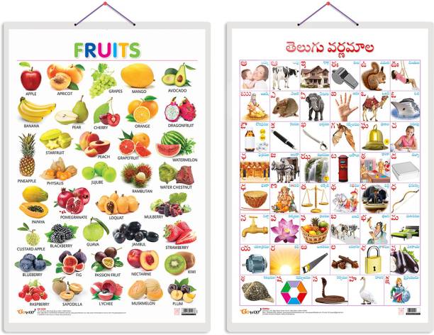 Gift Pack Of 2 Fruits And Telugu Alphabet (Telugu) Charts | Wall Posters For Room Decor High Quality Paper Print With Hard Lamination (20 Inch X 30 Inch, Rolled)