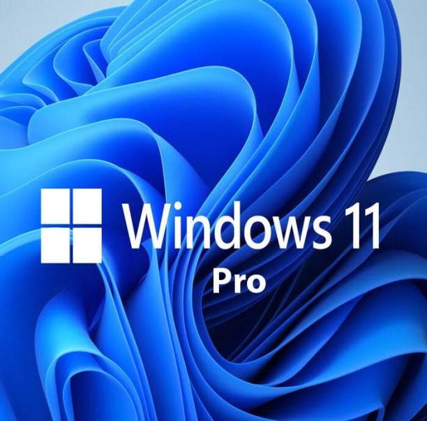 Repex Windows 11 Professional OEM,1 PC,Lifetime Validity professional 64 bit