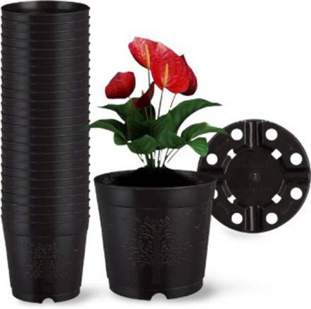 SNSHOPEE (Pack of 12) Premium 6 inch Pot Plant Pots Planters Plastic Pots Flower Pots Plant Container Set