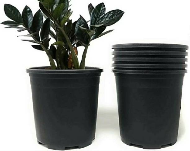Flipkart SmartBuy (Pack of 6) 6 inch dia. Heavy Duty plant pot flower pot plastic pot planter Plant Container Set