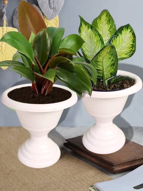 TechHark Pack Of 2 Plant Container Set