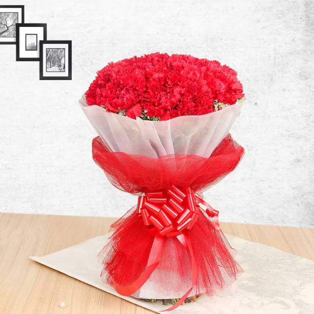 Floweraura Red Carnations Bouquets, Flower Basket