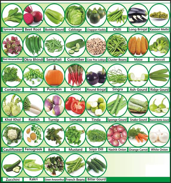 Morbih 45 Varieties of Vegetable Seeds Combo Pack Seed