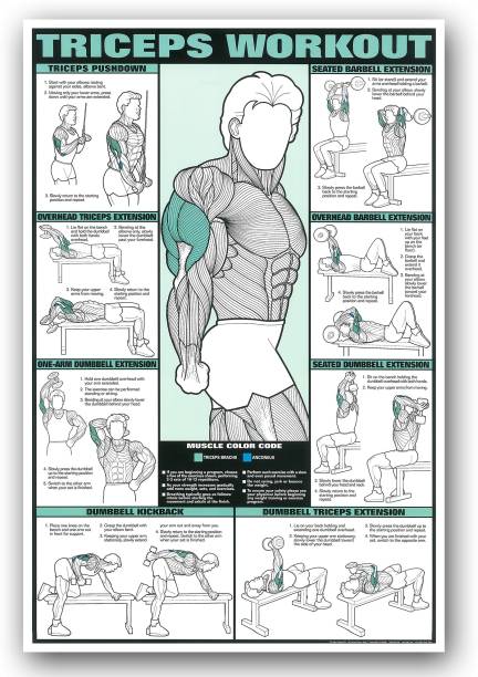 Motivational Inspirational Triceps Workout Exercise Gym Poster - 24 x 36 Inch Fine Art Print