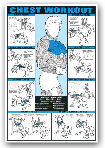 Motivational Inspirational Chest Workout Exercise Gym Poster - 24 x 36 Inch Fine Art Print