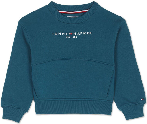 boys tommy hilfiger hoodie