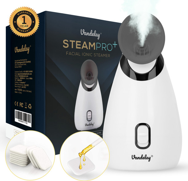 best steamer on flipkart