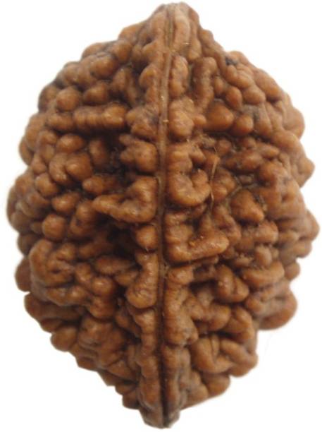 Rudraksha Ratna Yantras Buy Rudraksha Ratna Yantras Online At Best Prices In India Flipkart Com More powerpoint presentations from rudraksharatna. rudraksha ratna yantras buy rudraksha
