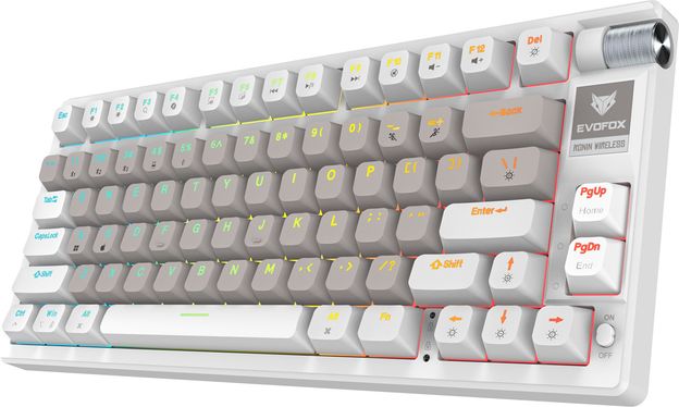 EVOFOX Ronin TKL RGB Mechanical Wireless Tenkeyless Gaming Keyboard Compatible with Desktop, Laptop, Mac with Compact Tenkeyless Layout, Backlit LED Illumination(White)