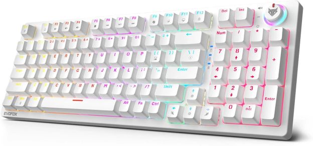 EVOFOX Katana X2 Mechanical Dynamic Backlighting Wired USB Standard Gaming Keyboard Compatible with Desktop, Laptop, Mac multimedia_keys(White)