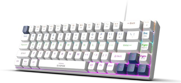 EVOFOX Katana S Mini Mechanical with Silent Red Switches & Rainbow Backlighting Wired USB Tenkeyless Gaming Keyboard Compatible with Desktop, Laptop, Mac(White)