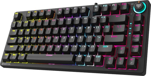 EVOFOX Katana X2 TKL Mechanical Wired USB Tenkeyless Gaming Keyboard Compatible with Desktop, Laptop, Mac with Compact Tenkeyless Layout, Dedicated Multimedia Hotkeys(Black)