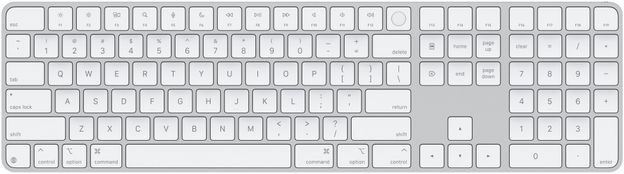 Apple with Multi-Device Bluetooth MXK73HN/A Bluetooth, Wireless Laptop Keyboard(White Keys)
