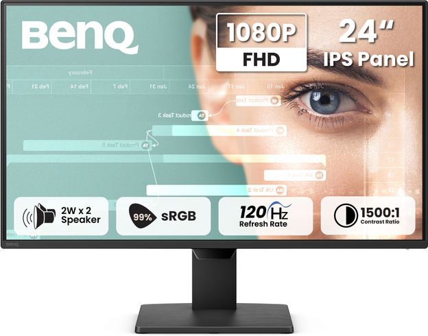 BenQ GW Series 60.96 cm (24 inch) Full HD IPS Panel Monitor (GW2490P)(Response Time: 1 ms, 120 Hz Refresh Rate)