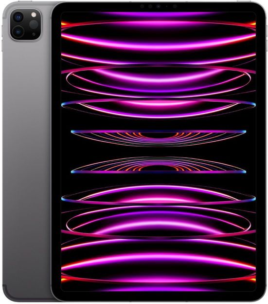 Apple 2022 iPad Pro (4th Gen) 1 TB ROM 11.0 inch with Wi-Fi+5G Apple M2 chip (Space Grey)