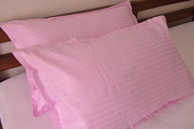 RRC Microfiber Pillows Cover(43 cm*69 cm, Pack of 2, Pink)