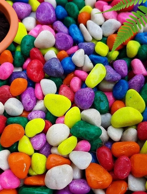 RPI SHOP -900 Gram Multi-Color Decorative Stones, Colourful Pebbles For Garden, Vase,&hellip;