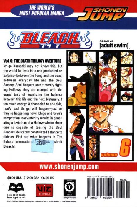 Bleach Vol 6 Buy Bleach Vol 6 By Kubo Tite At Low Price In India Flipkartcom - 