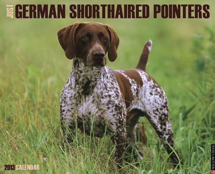 Just German Shorthaired Pointers Calendar Buy Just German