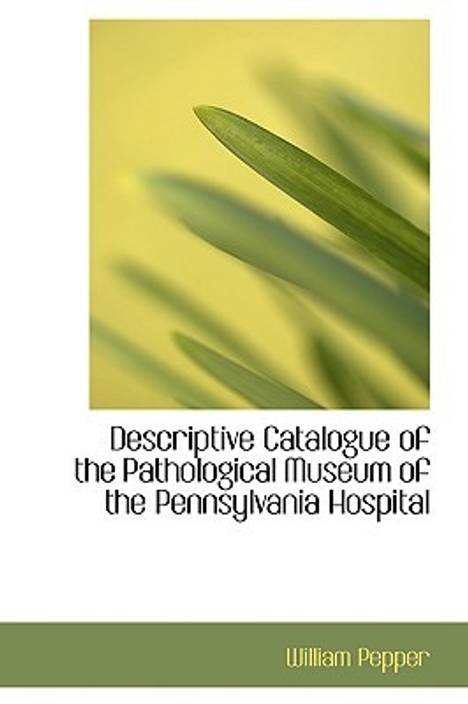 a description of social criticism in short stories a description of social criticism in short stories