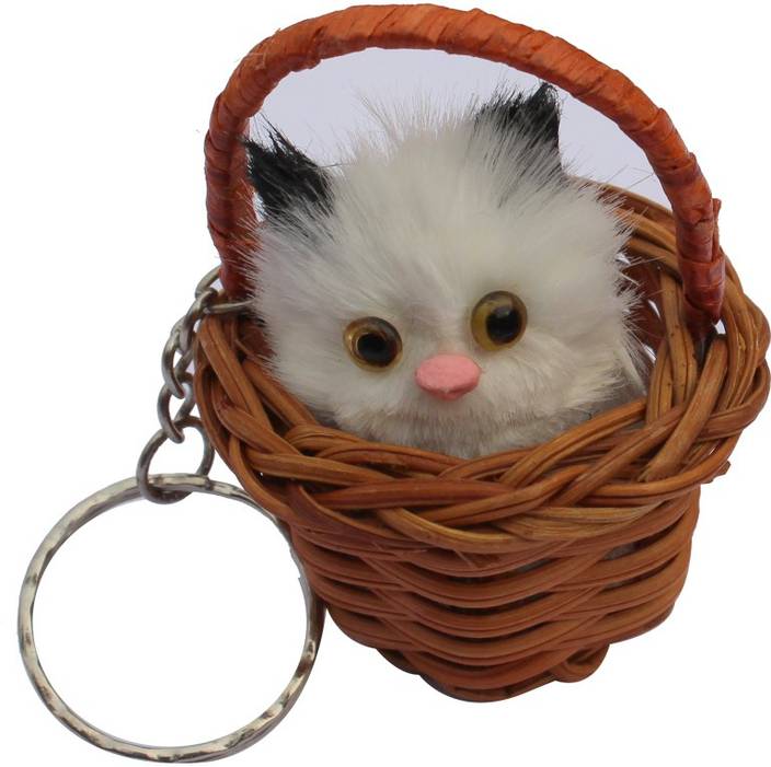 ctw cute kitty in