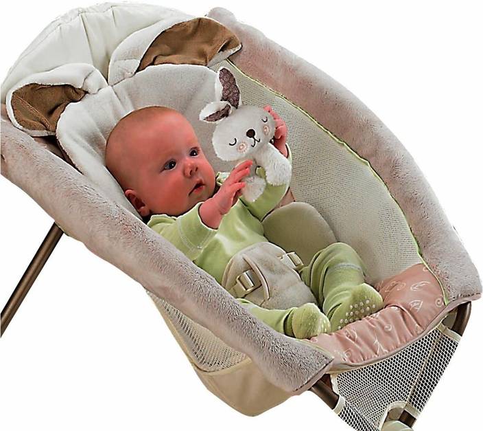 Fisher-Price My Little Snugabunny Newborn Rock n Play ...