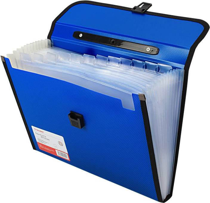 TRANBO Polypropylene File Folder with 13 Pockets, Handle