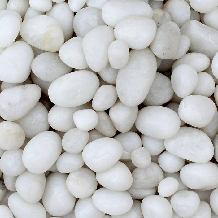 Foodie Puppies White Pebbles Glossy Stones For Home Decorative