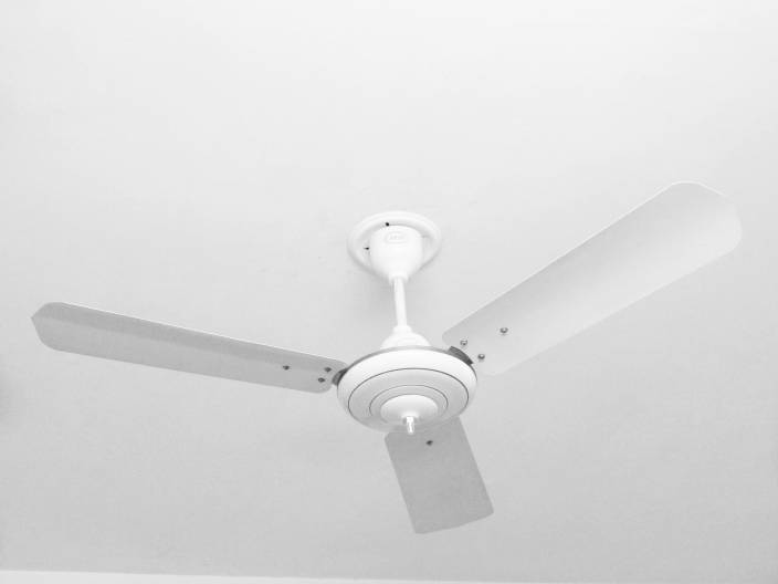 Cinni 48 Regular Ceiling Fan 3 Blade Ceiling Fan Price In India