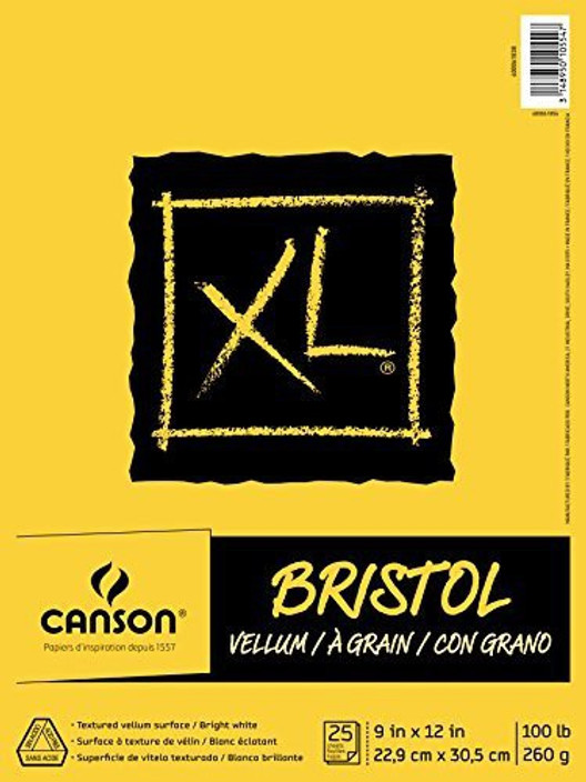 Bienfang Drawing Bristol vellum 9 in x 12 in. PACK OF 2