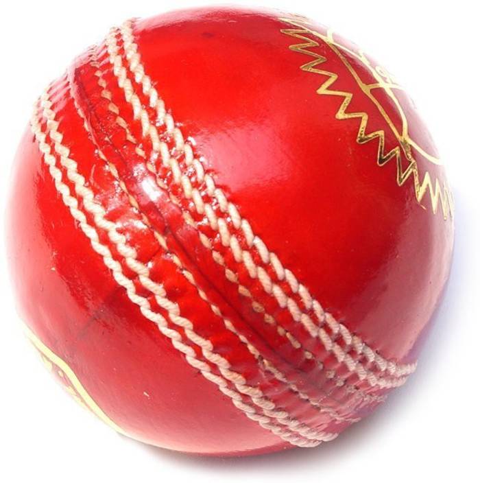 Quinergys Pro Impact Club Play Leather Cricket Ball Swing