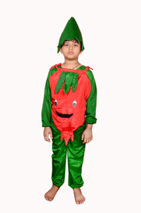 Boys Clothing Shoes Accessories Elf On The Shelf Costume The Elf On The Shelf Christmas Fancy Dress Myself Co Ls