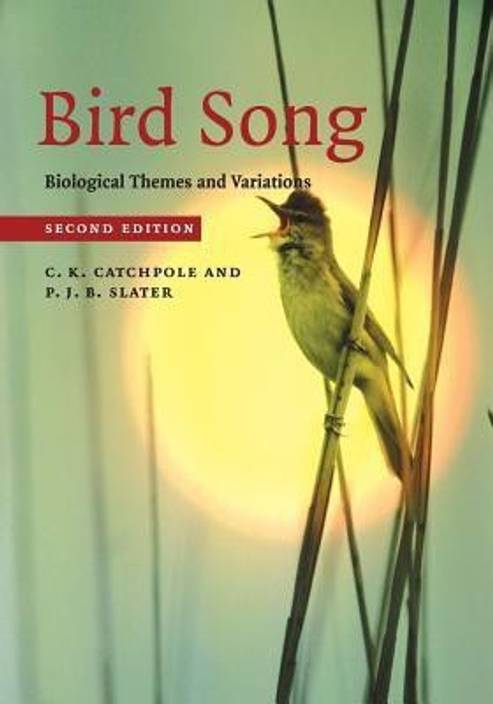 Bird Song Buy Bird Song By Catchpole C K At Low Price In - 