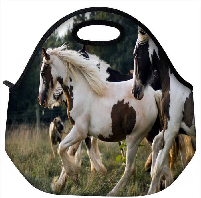 Flipkart Com Snoogg Multicolor Horses Travel Outdoor Carry Lunch