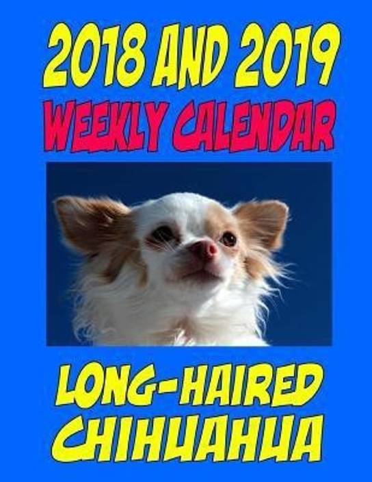 2018 And 2019 Weekly Calendar Long Haired Chihuahua Buy 2018 And