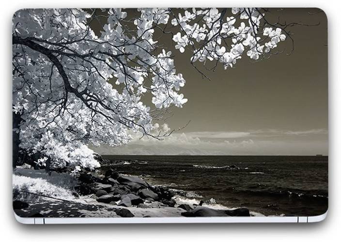 Flipkart Smartbuy Nature Themed 521 Vinyl Laptop Skin