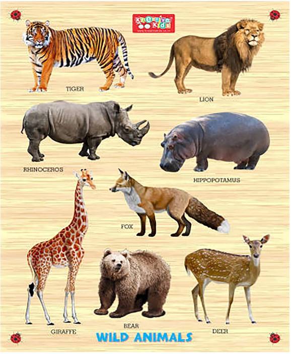 Webby Premium Wooden Wild Animals Educational Puzzle Toy