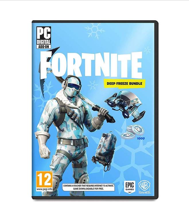 Fortnite standard edition