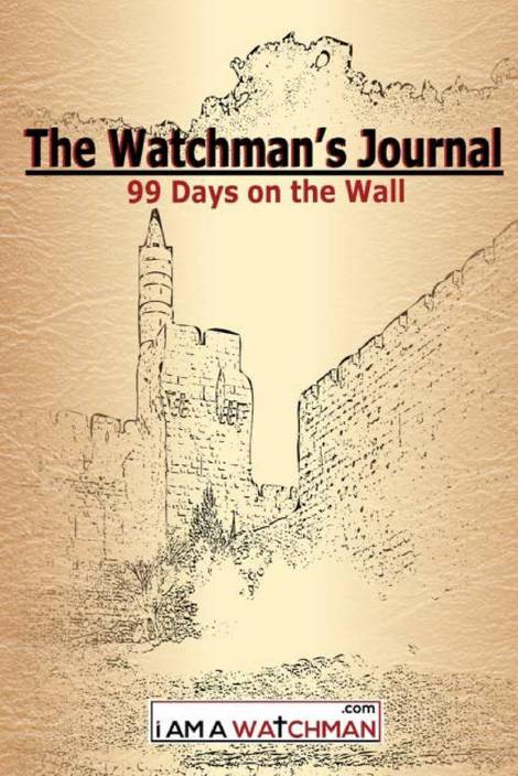 The watchman english edition
