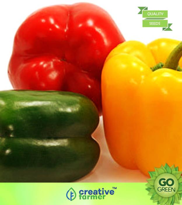 Creative Farmer Vegetable Seeds Capsicum Seeds For Home Garden