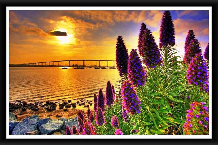 Online Center Beautiful Scene Nature Sunrise And Sunset Hd