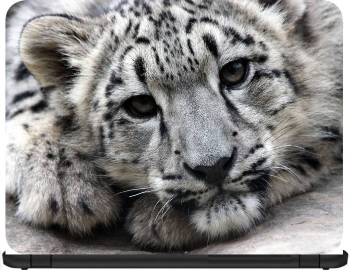 Vgtech Snow Leopard Face Predator 52072 Vinyl Laptop Decal