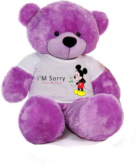 sorry with teddy